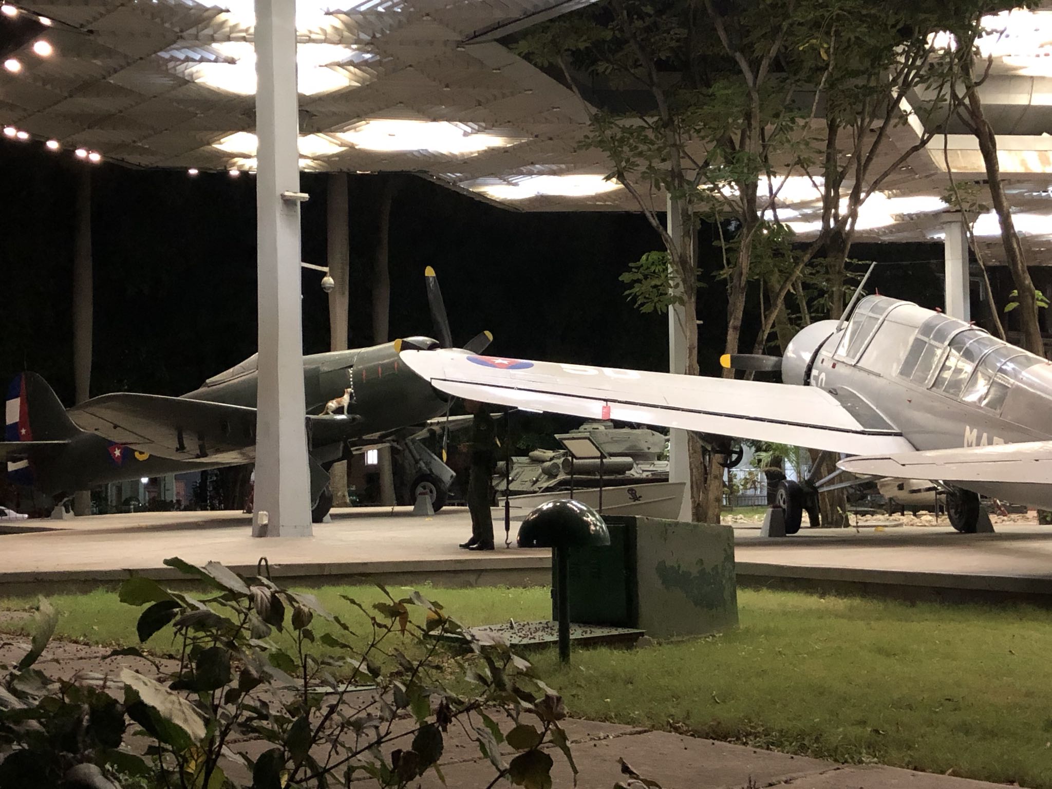 Photo 22 of 221 from the album Highlights Cuba 2019.