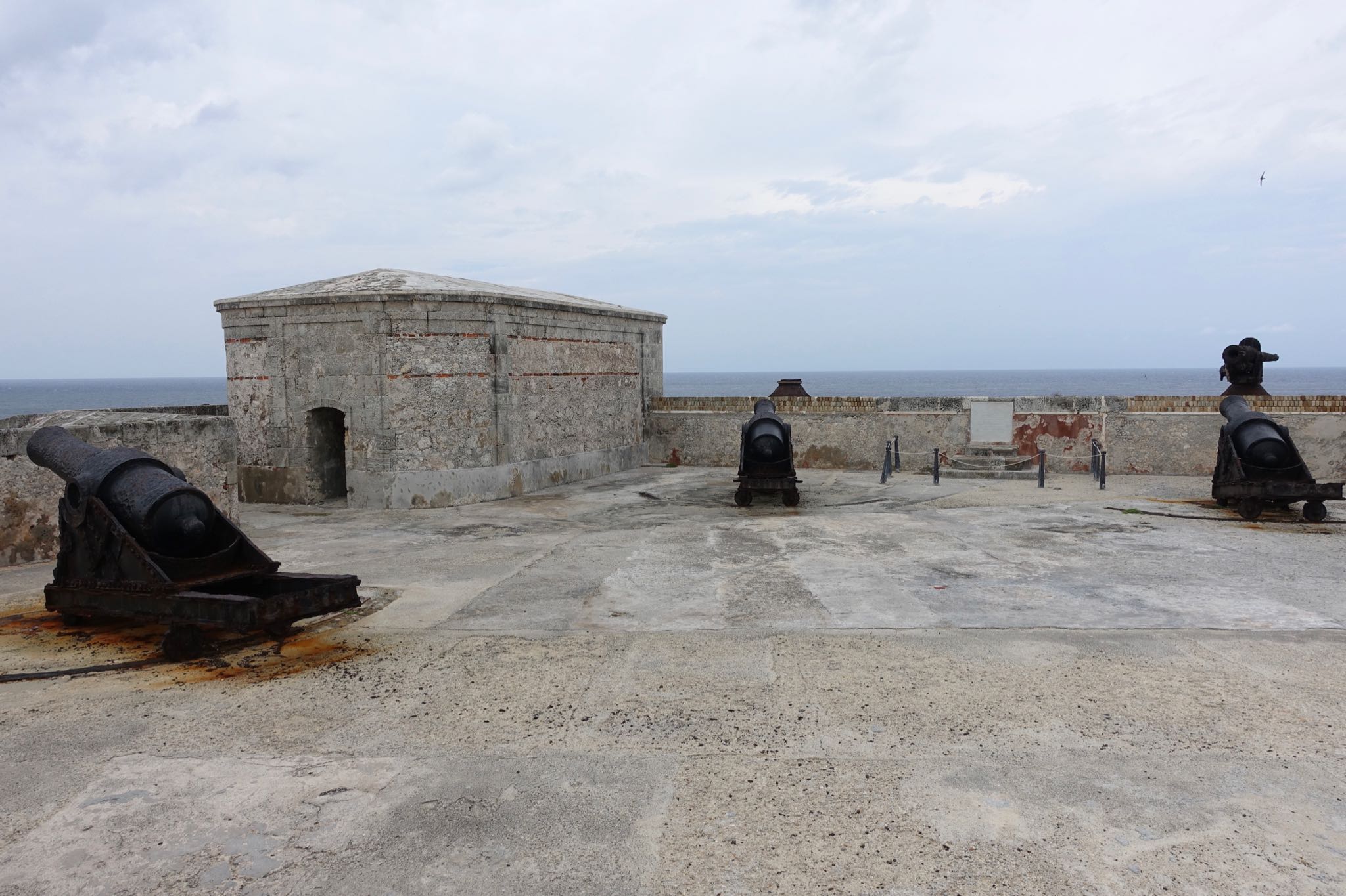 Photo 51 of 221 from the album Highlights Cuba 2019.