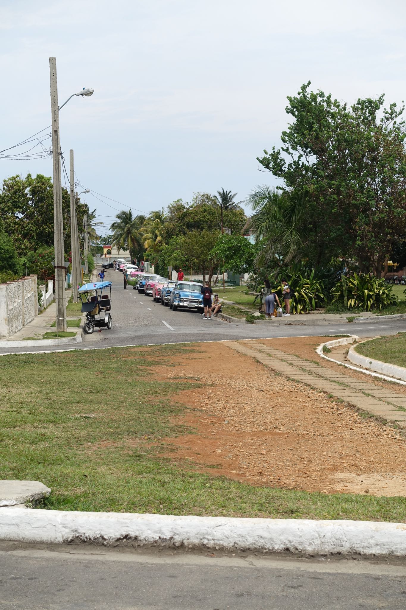 Photo 56 of 221 from the album Highlights Cuba 2019.