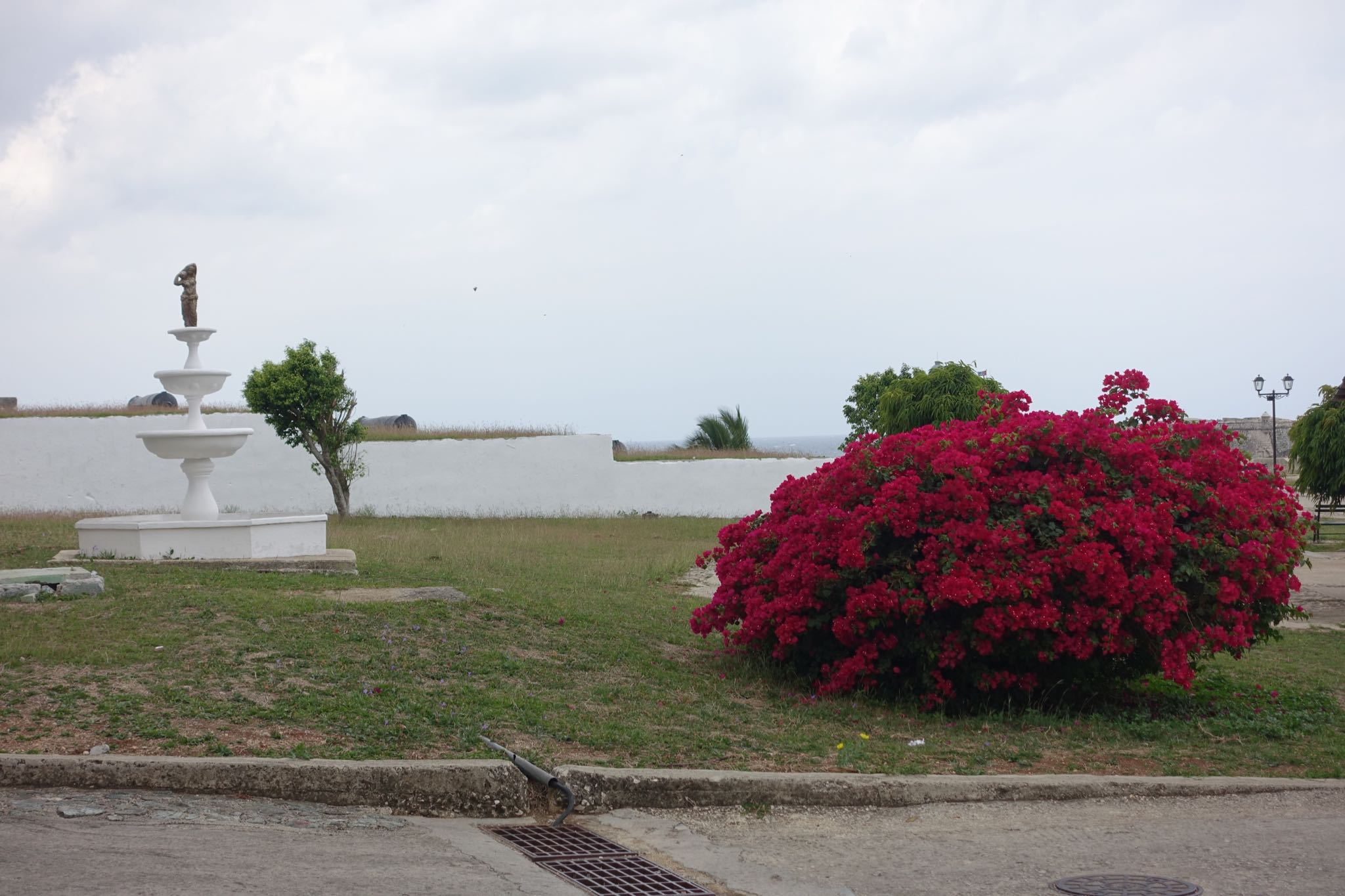 Photo 62 of 221 from the album Highlights Cuba 2019.