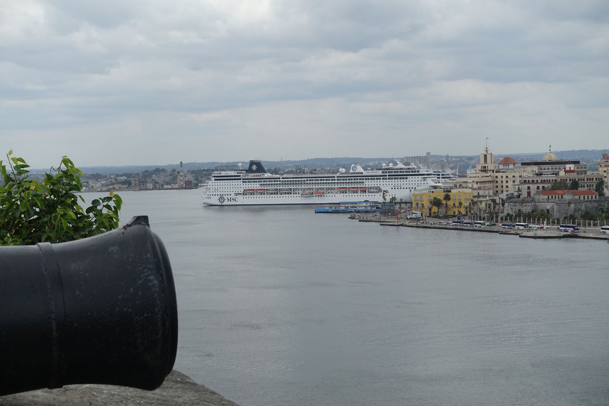 Photo 67 of 221 from the album Highlights Cuba 2019.