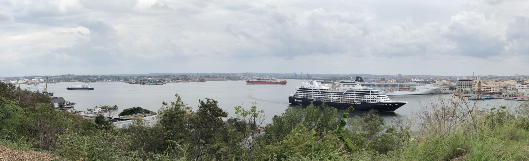 Photo 79 of 221 from the album Highlights Cuba 2019.