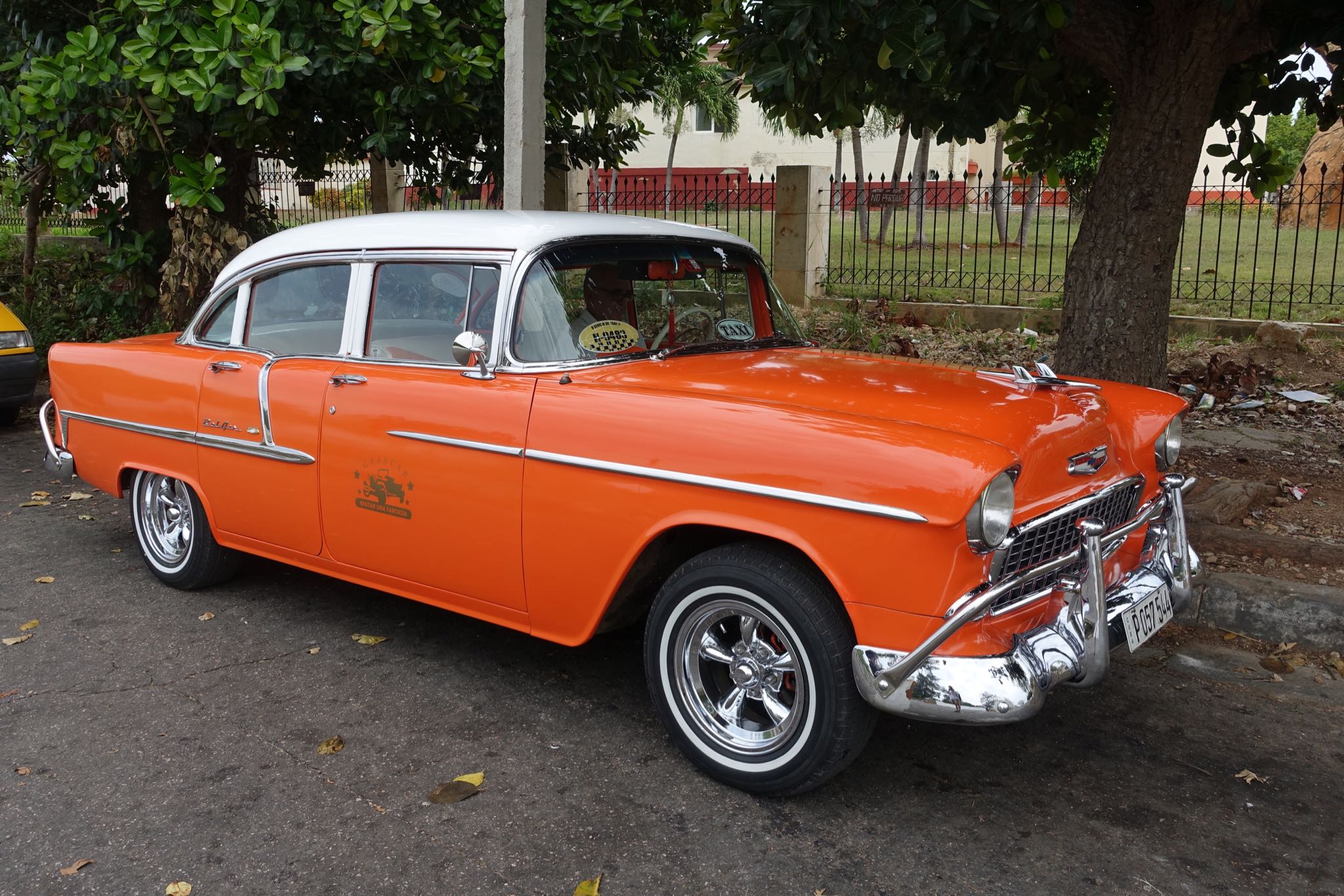 Photo 80 of 221 from the album Highlights Cuba 2019.