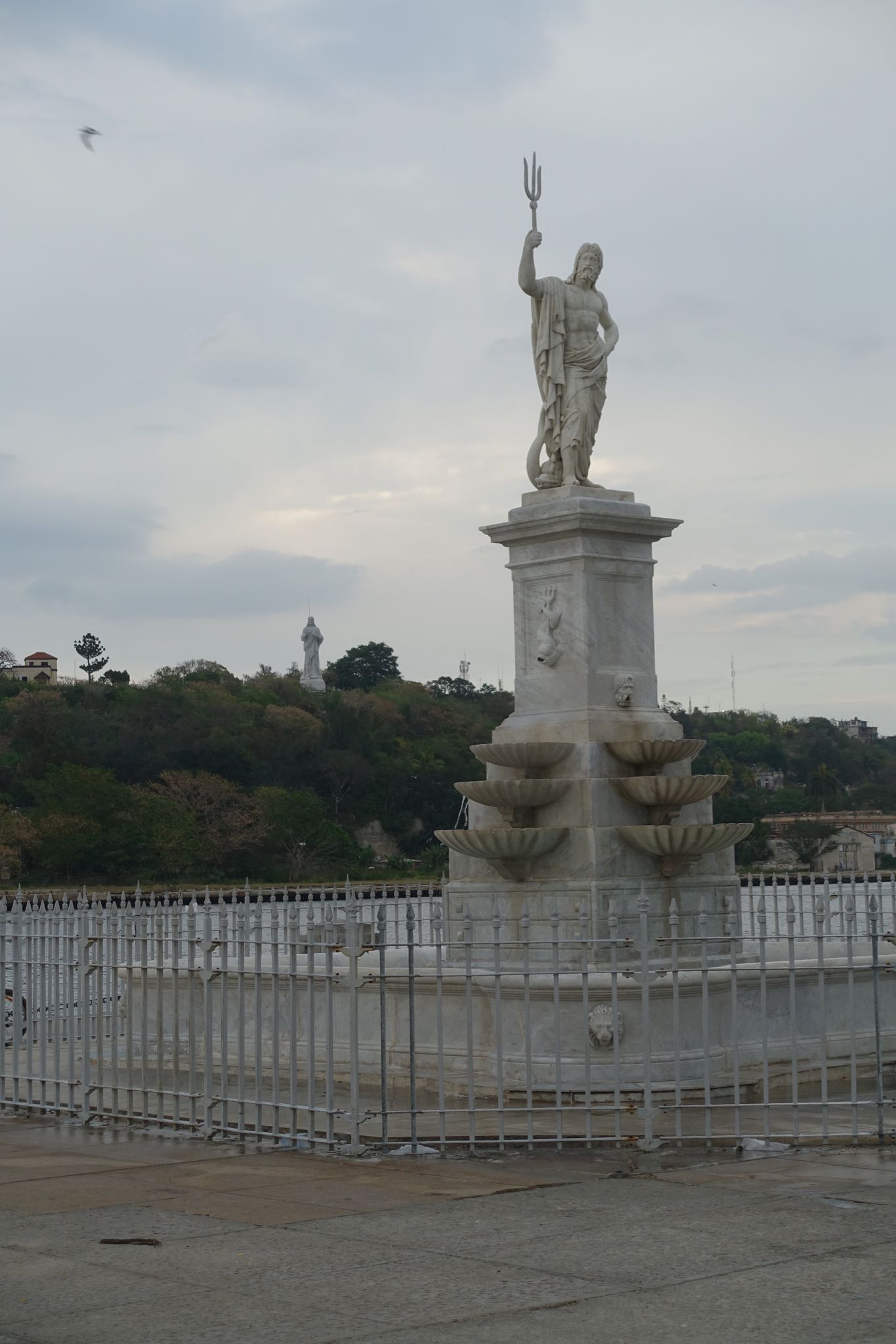 Photo 95 of 221 from the album Highlights Cuba 2019.