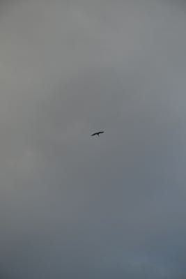 Thumbnail 121 of 221.