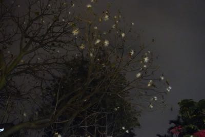 Thumbnail 132 of 221.