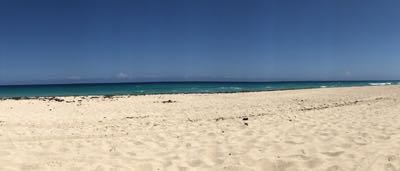 Thumbnail 138 of 221.