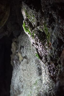 Thumbnail 156 of 221.