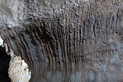 Thumbnail 157 of 221.