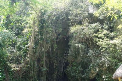 Thumbnail 164 of 221.