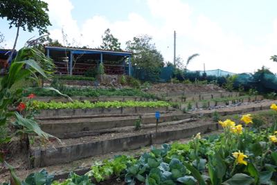 Thumbnail 167 of 221.