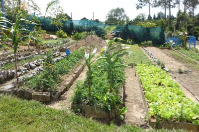 Thumbnail 168 of 221.