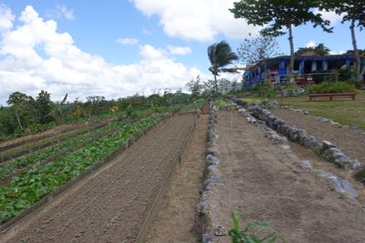 Thumbnail 171 of 221.