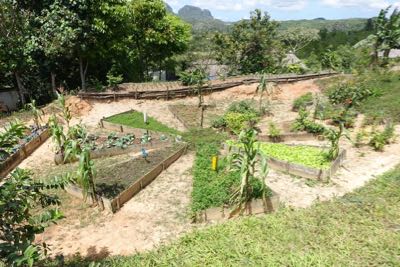 Thumbnail 172 of 221.