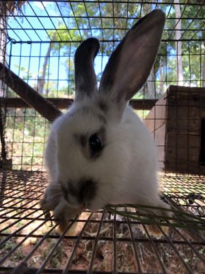 Thumbnail 175 of 221.