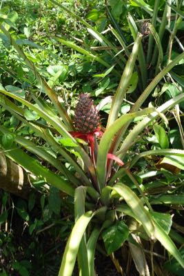 Thumbnail 176 of 221.