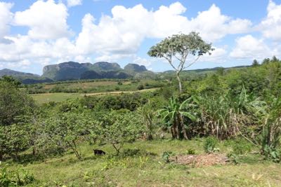 Thumbnail 178 of 221.