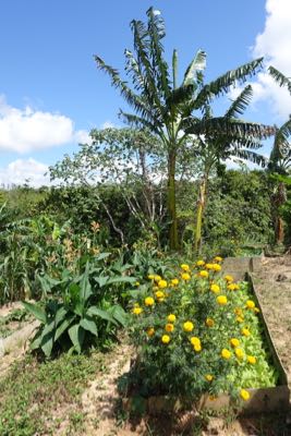 Thumbnail 181 of 221.