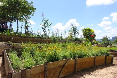 Thumbnail 182 of 221.