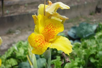 Thumbnail 184 of 221.