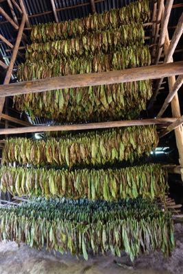 Thumbnail 188 of 221.