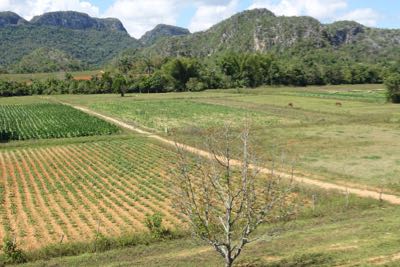 Thumbnail 190 of 221.