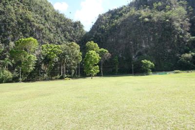 Thumbnail 192 of 221.