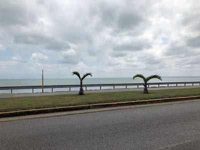 Thumbnail 211 of 221.