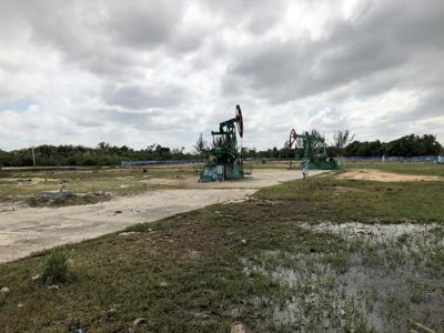 Thumbnail 212 of 221.