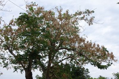 Thumbnail 71 of 221.