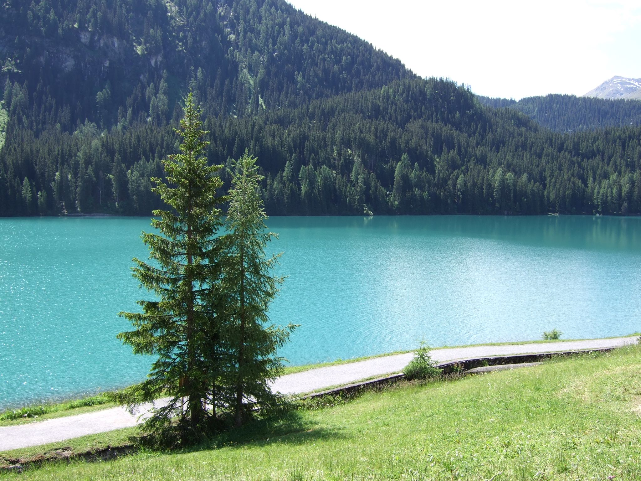 Photo 1 of 12 from the album Day Trip to Davos/Guarda/Ardez.