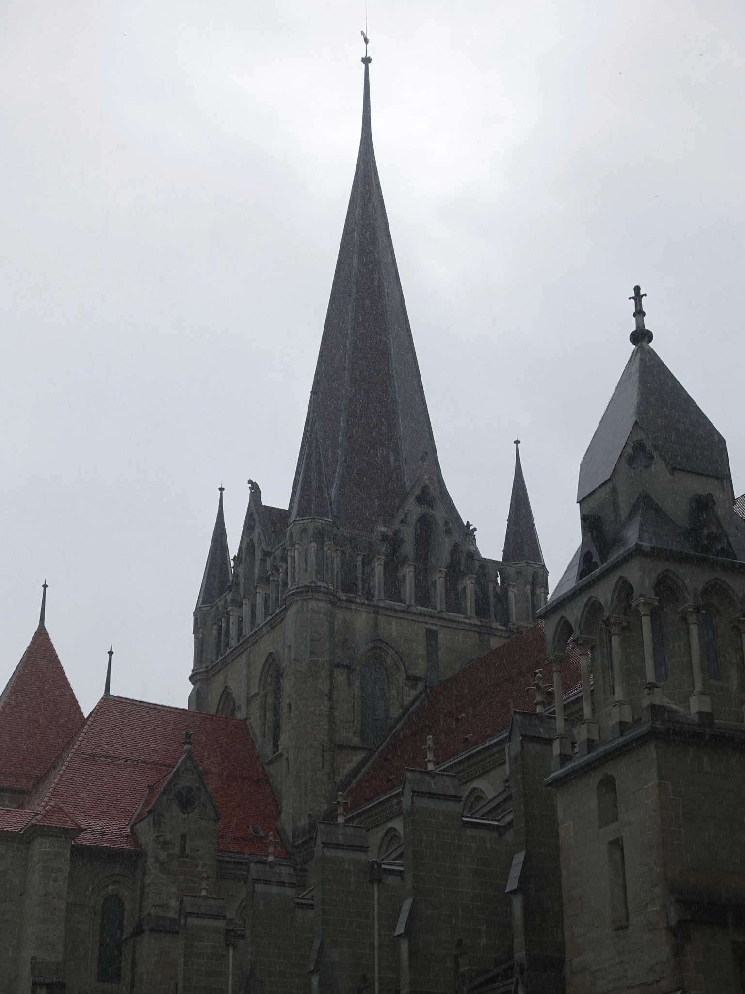 Photo 12 of 45 from the album Day Trip to Morges/Lausanne/Bern.