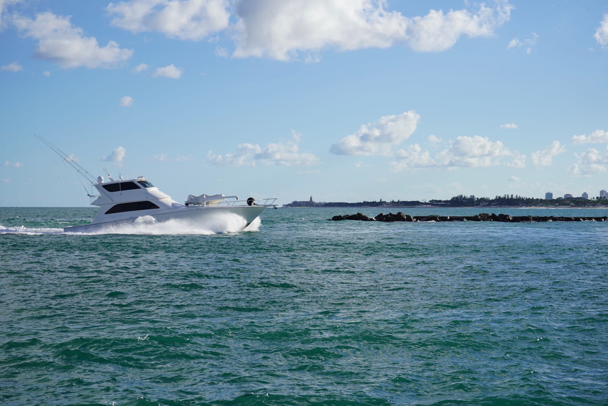 Photo 10 of 78 from the album Highlights Florida – New York 2019.