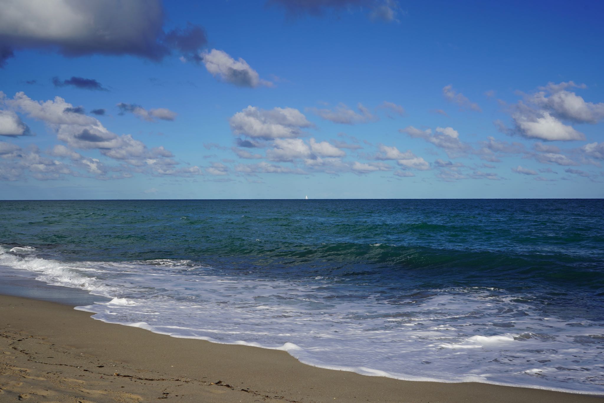 Photo 11 of 78 from the album Highlights Florida – New York 2019.