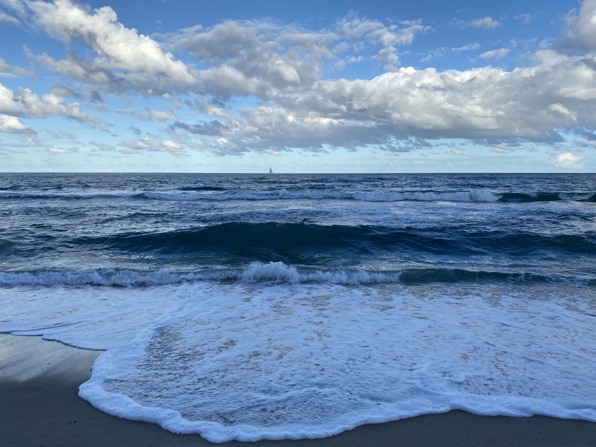 Photo 13 of 78 from the album Highlights Florida – New York 2019.