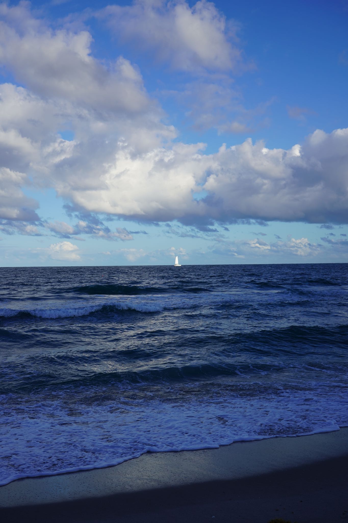 Photo 14 of 78 from the album Highlights Florida – New York 2019.