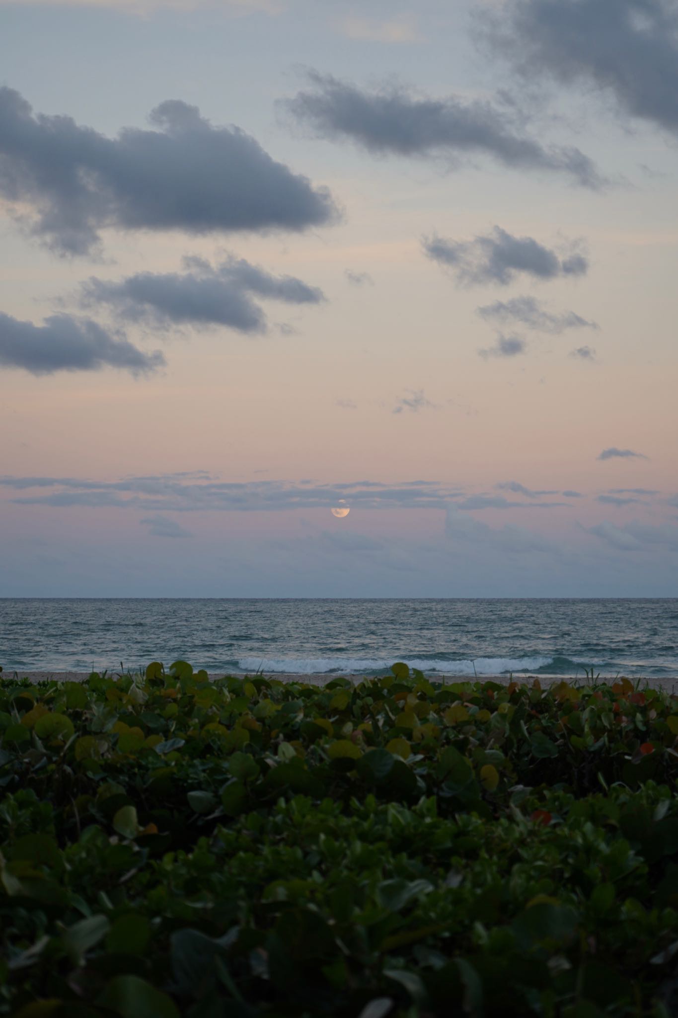 Photo 15 of 78 from the album Highlights Florida – New York 2019.