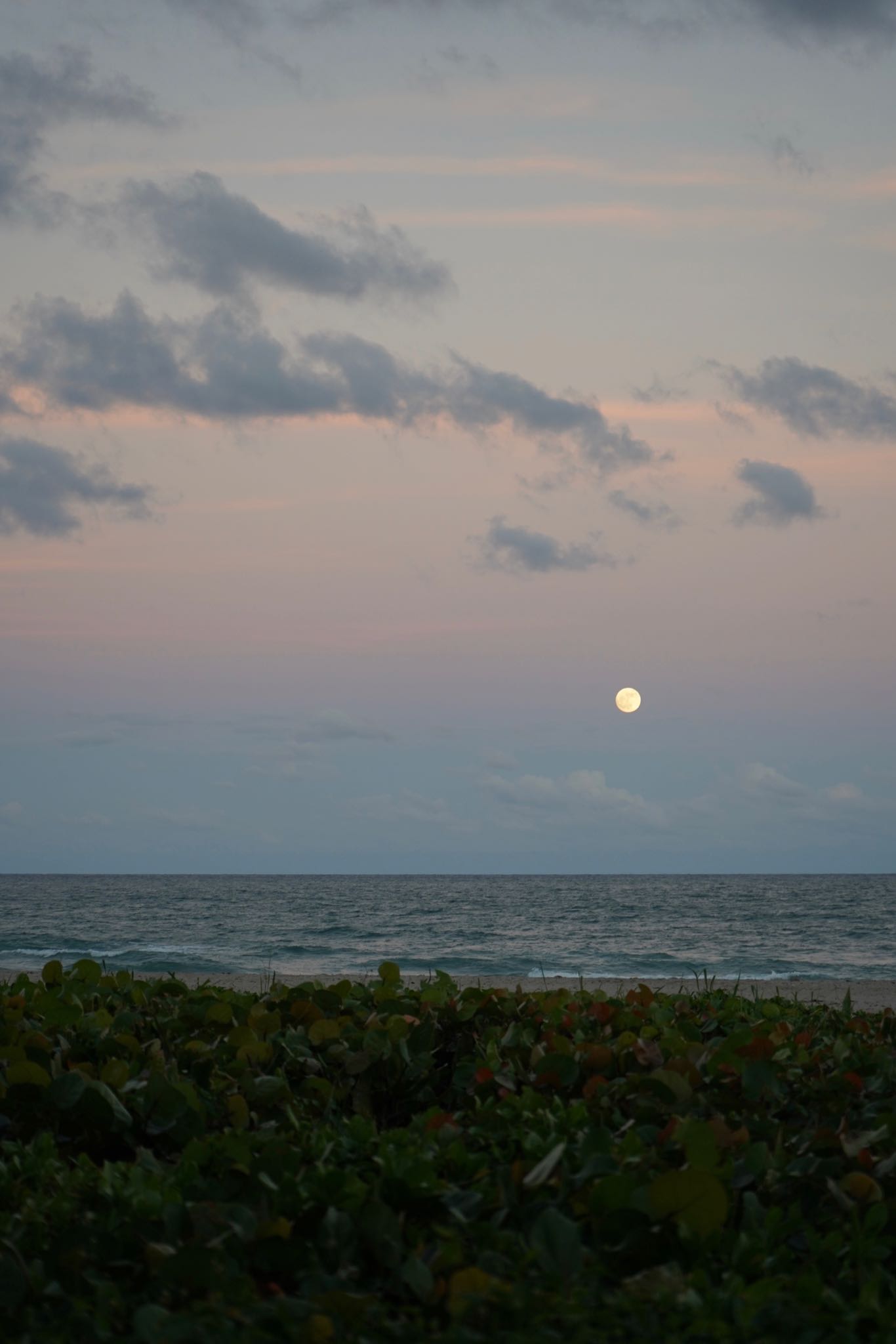 Photo 16 of 78 from the album Highlights Florida – New York 2019.