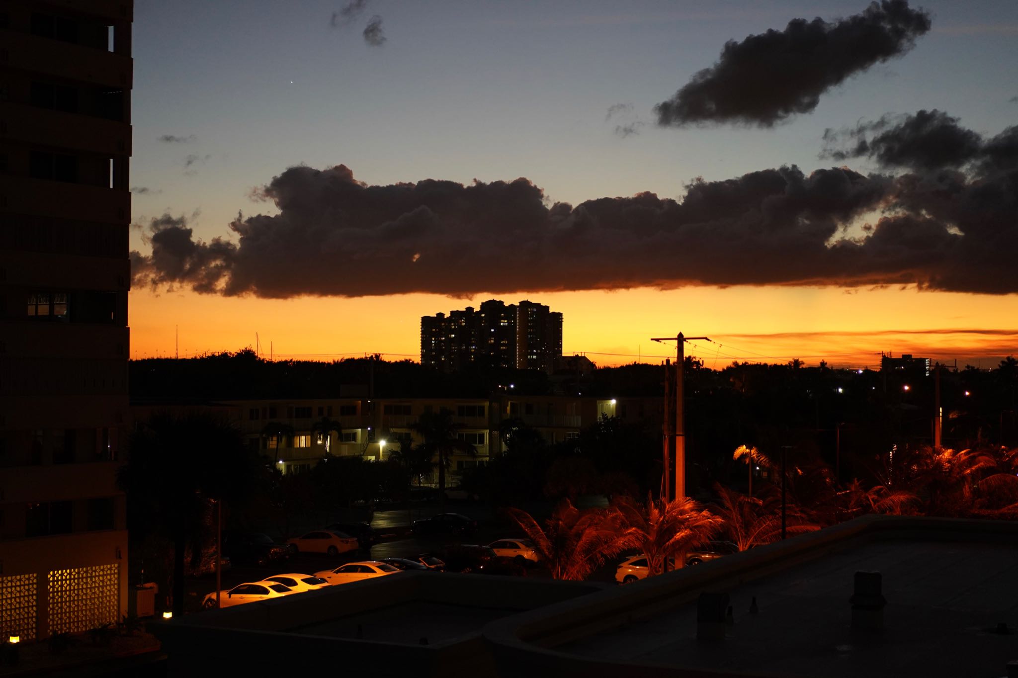 Photo 17 of 78 from the album Highlights Florida – New York 2019.