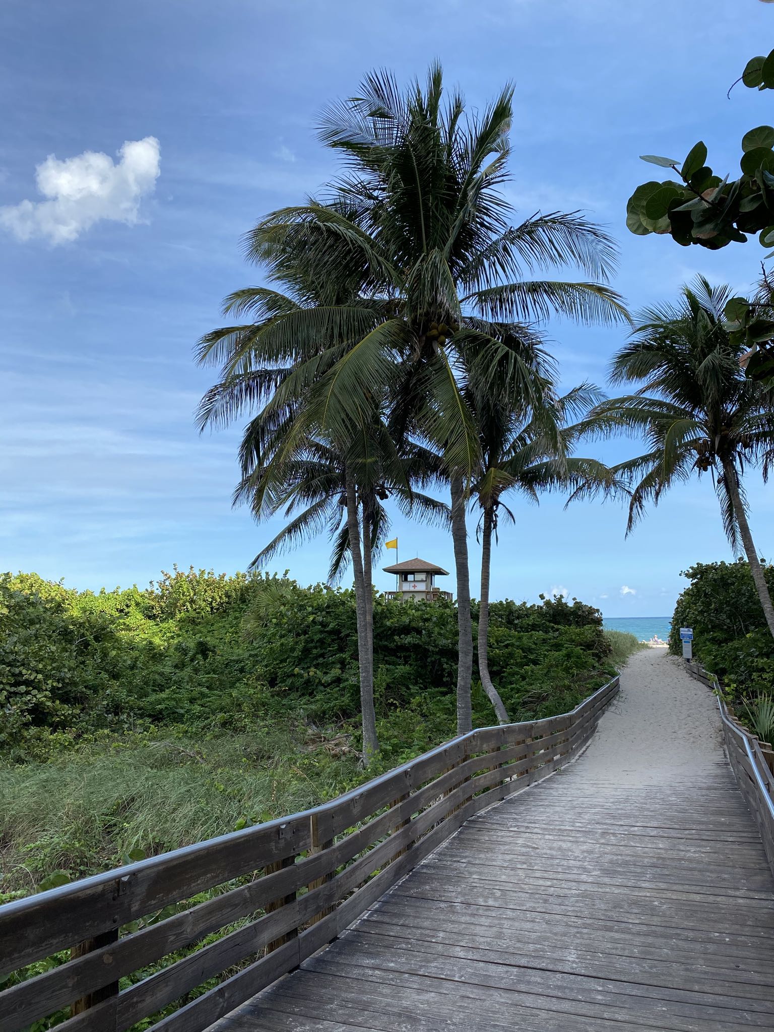 Photo 21 of 78 from the album Highlights Florida – New York 2019.