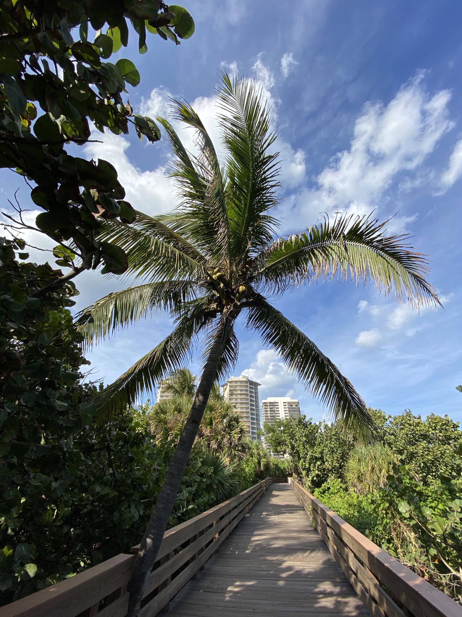 Photo 22 of 78 from the album Highlights Florida – New York 2019.