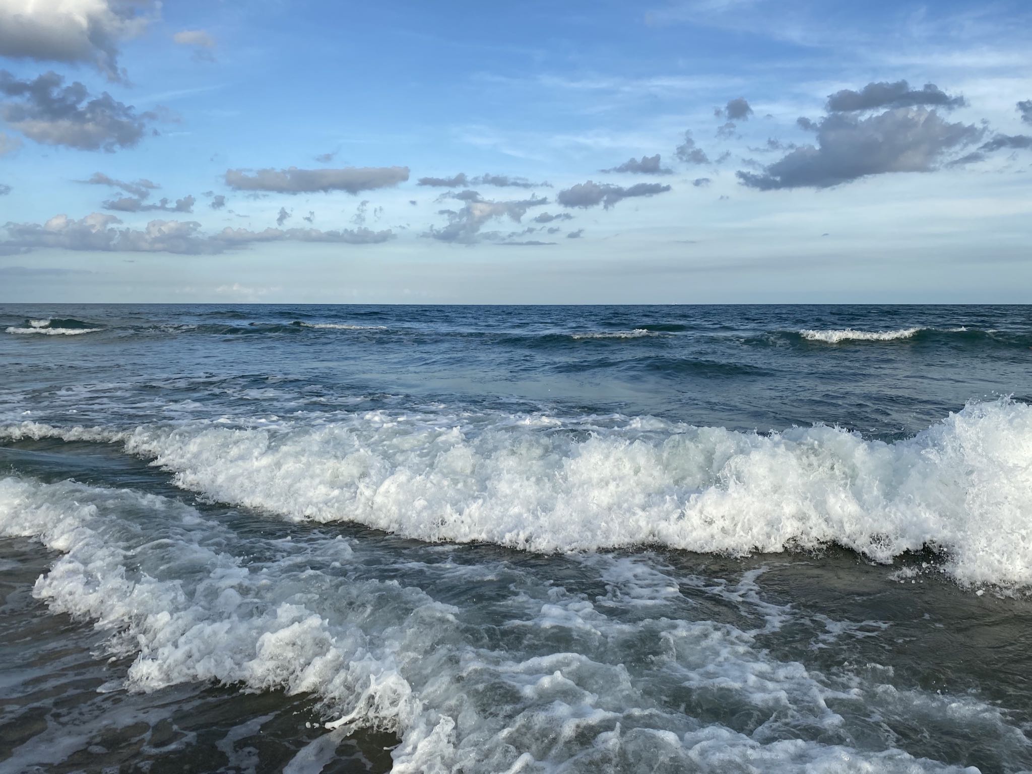 Photo 23 of 78 from the album Highlights Florida – New York 2019.