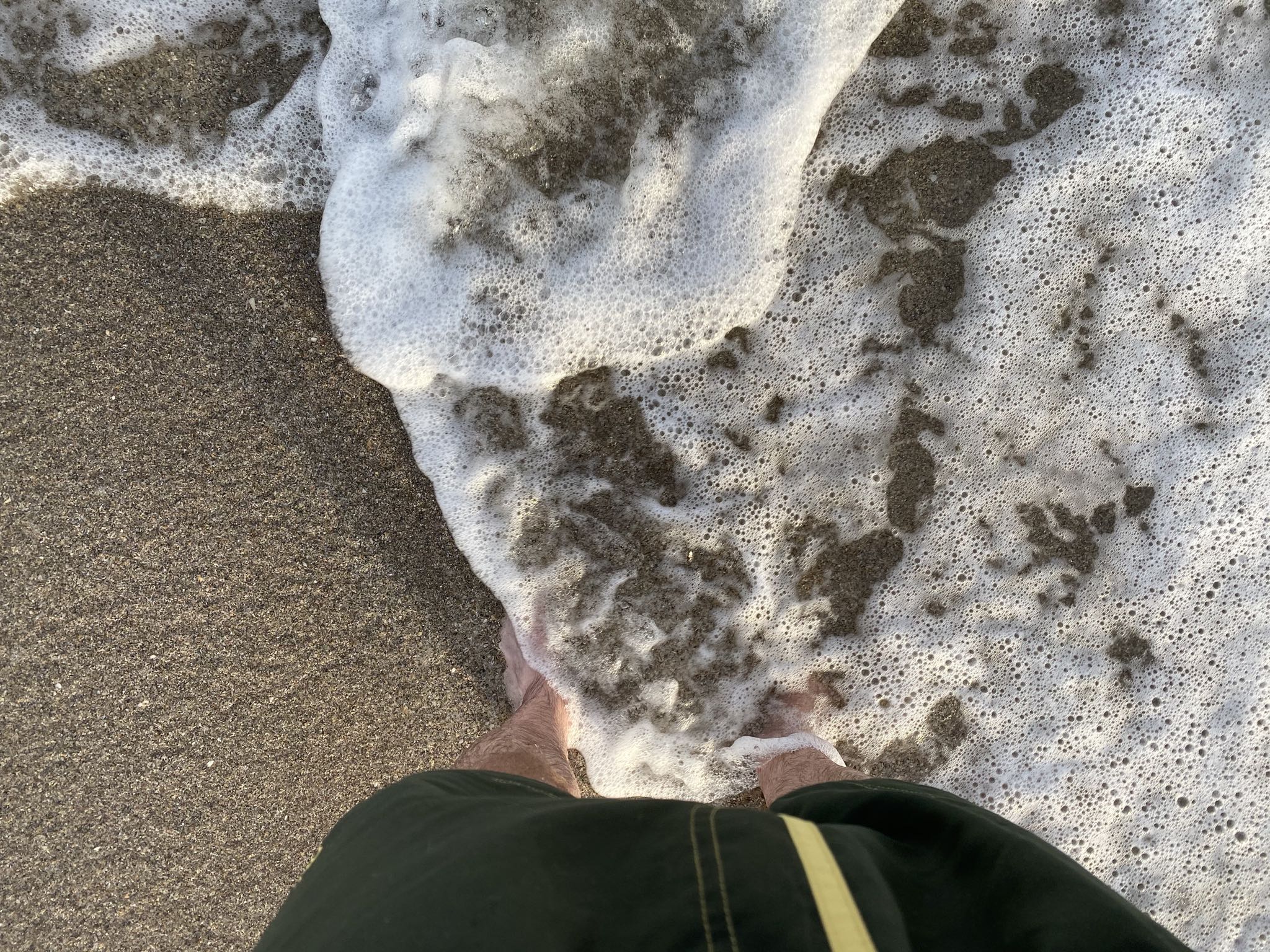 Photo 24 of 78 from the album Highlights Florida – New York 2019.