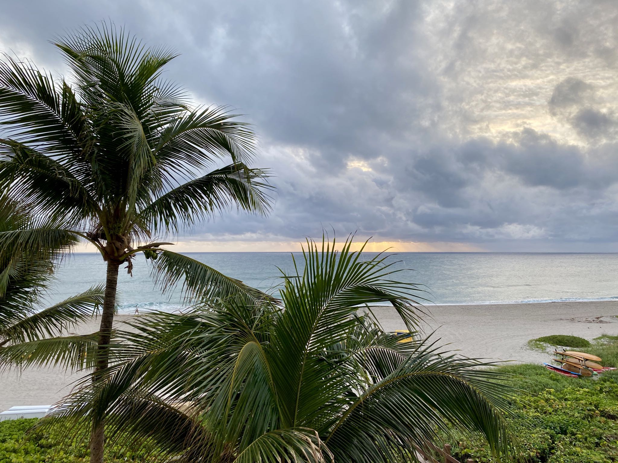 Photo 27 of 78 from the album Highlights Florida – New York 2019.