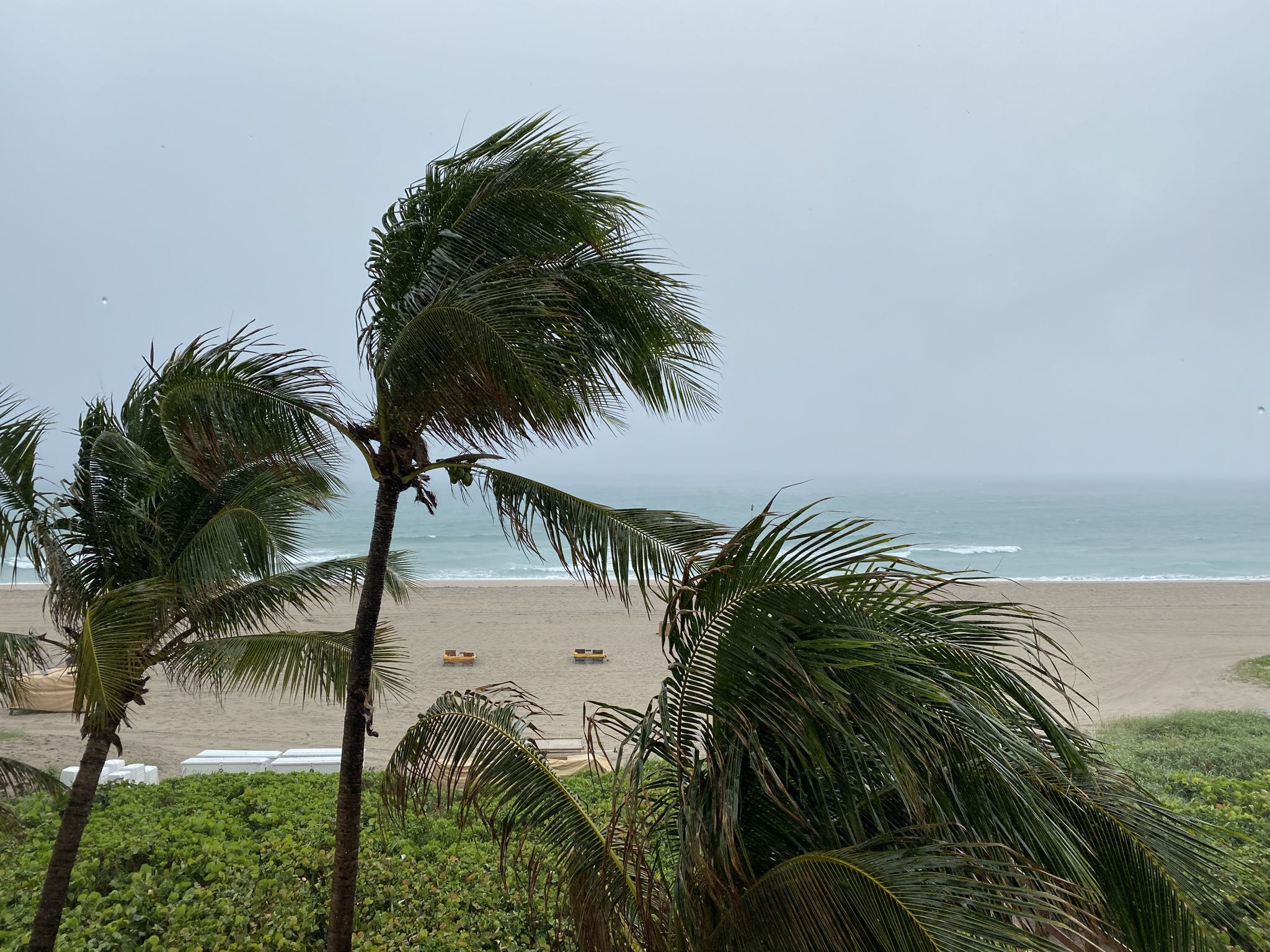 Photo 28 of 78 from the album Highlights Florida – New York 2019.