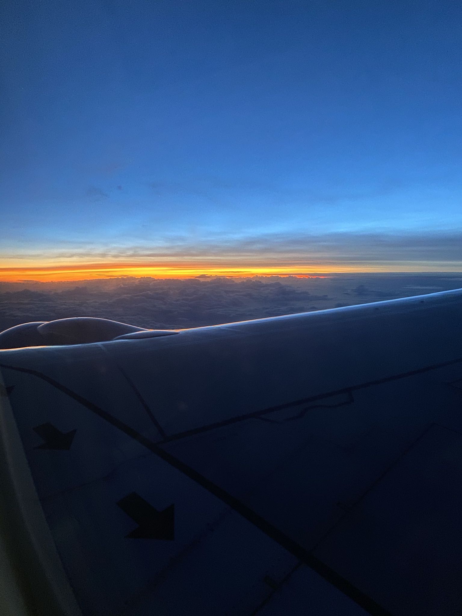 Photo 3 of 78 from the album Highlights Florida – New York 2019.