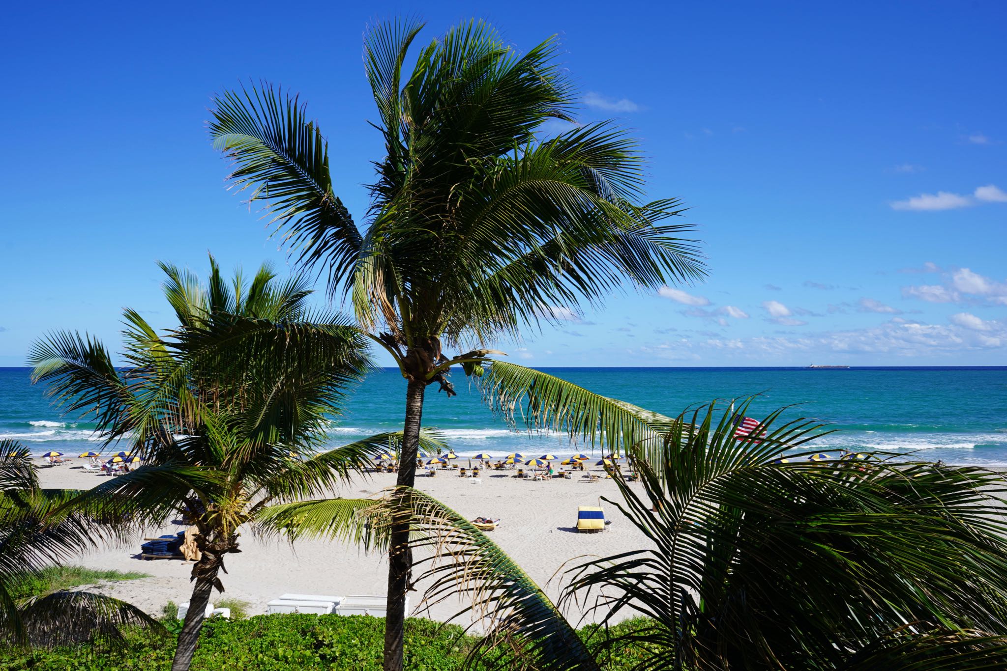 Photo 4 of 78 from the album Highlights Florida – New York 2019.