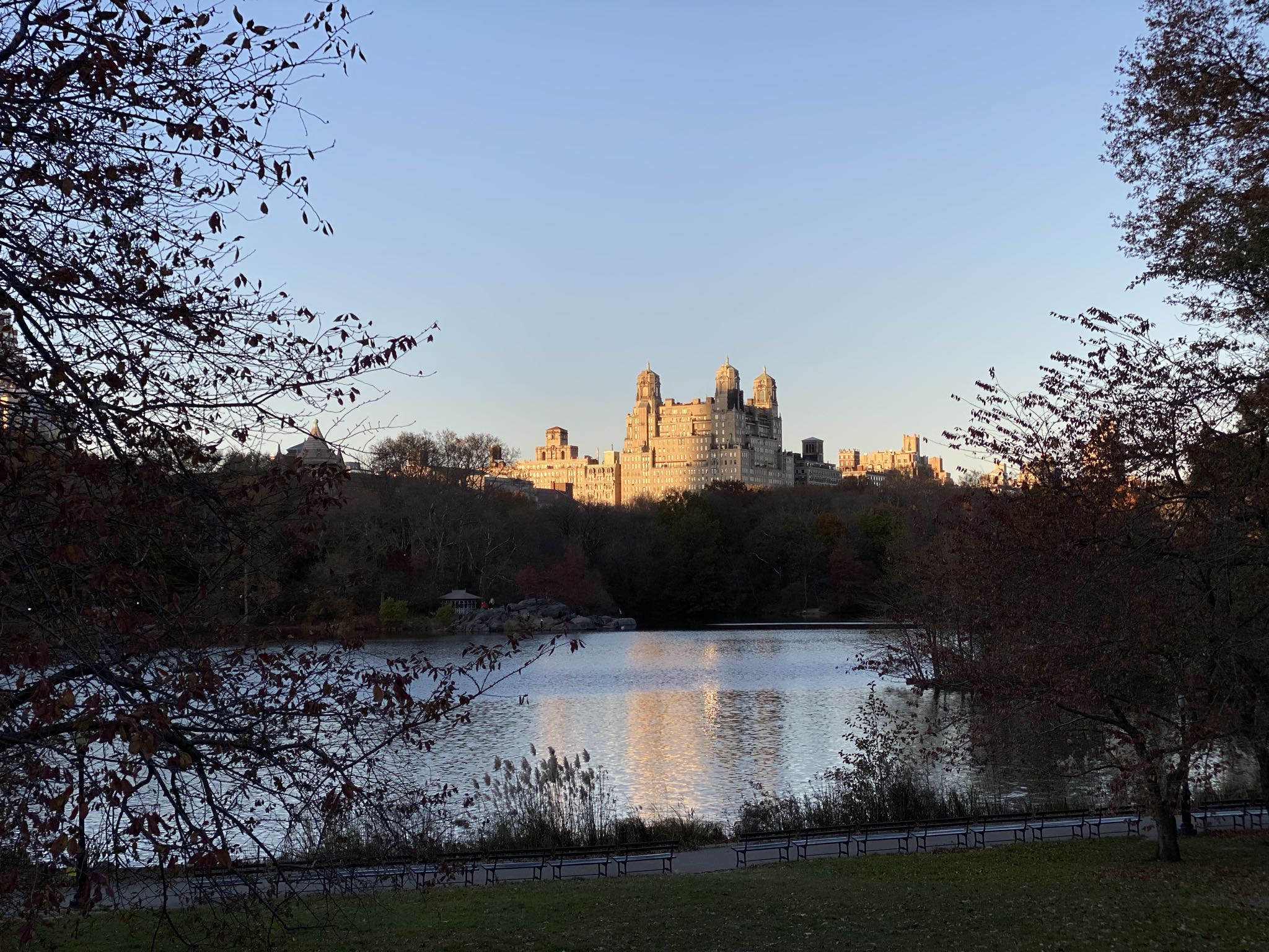 Photo 43 of 78 from the album Highlights Florida – New York 2019.