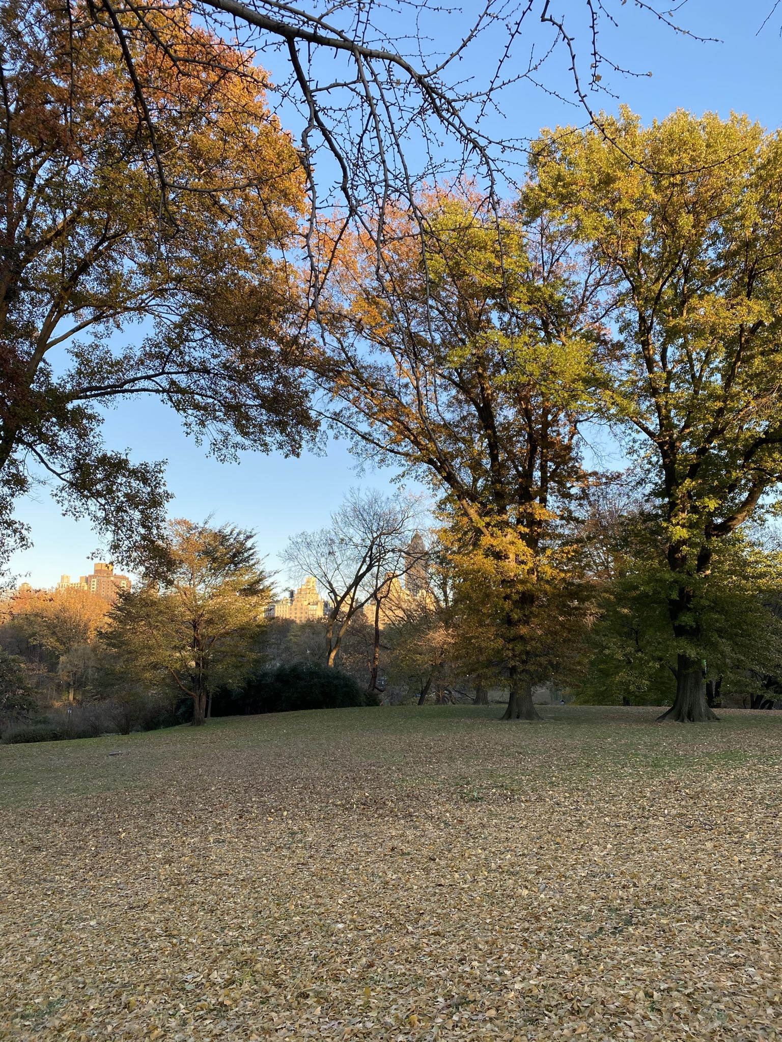 Photo 44 of 78 from the album Highlights Florida – New York 2019.