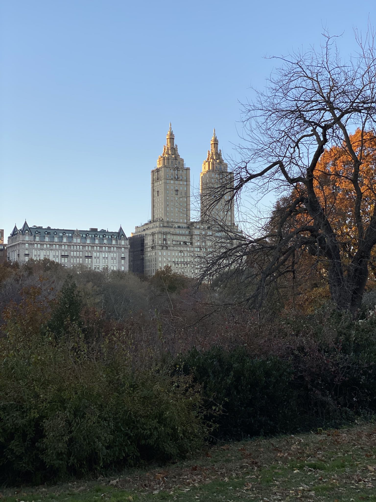 Photo 45 of 78 from the album Highlights Florida – New York 2019.